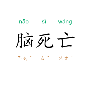 脑死亡