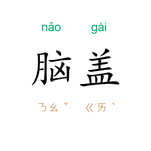 脑盖