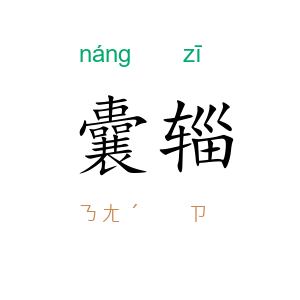囊辎