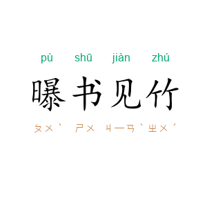 曝书见竹