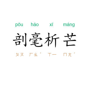 剖毫析芒
