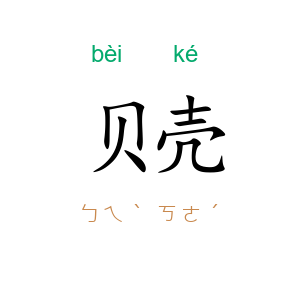 贝壳