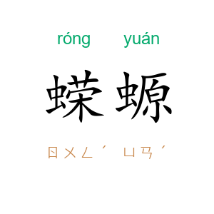 蝾螈