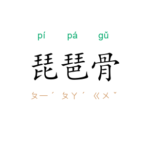琵琶骨