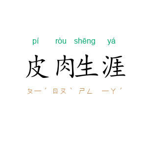 皮肉生涯