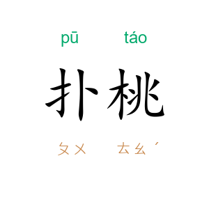 扑桃