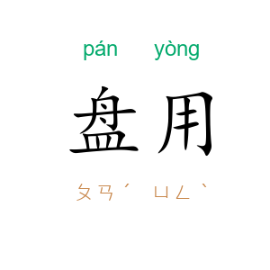 盘用