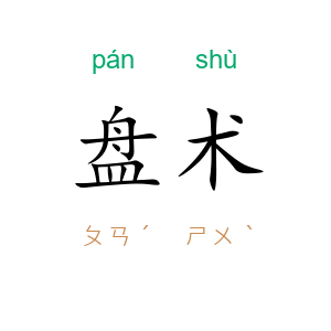 盘术