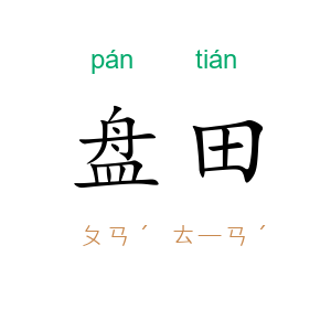 盘田
