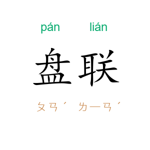 盘联