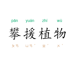 攀援植物