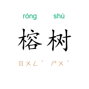 榕树