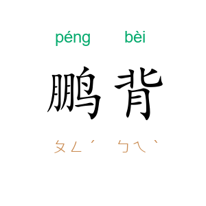 鹏背