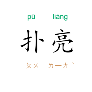 扑亮