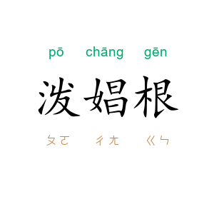 泼娼根