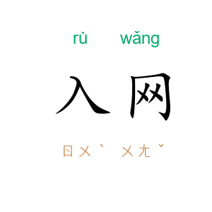 入网