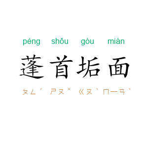 蓬首垢面