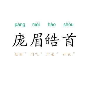 庞眉皓首