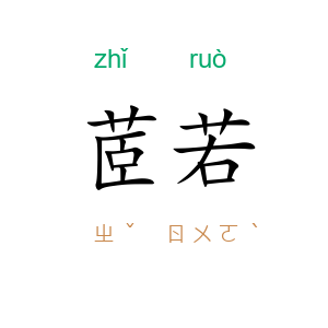 茝若