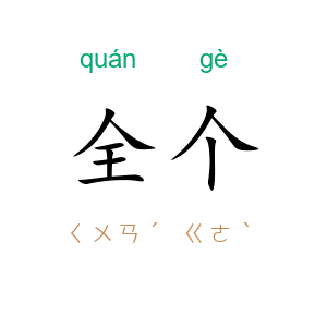 全个