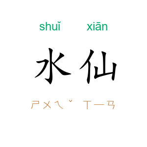 水仙