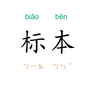 标本