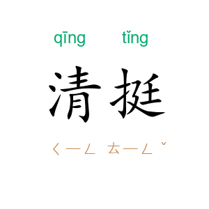 清挺
