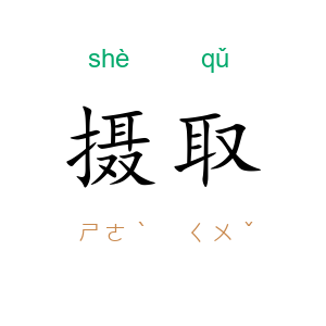 摄取