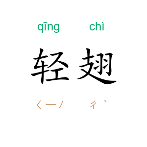 轻翅