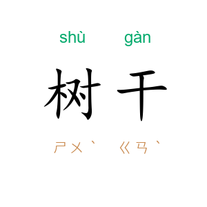 树干