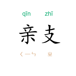 亲支