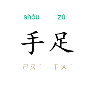 手足