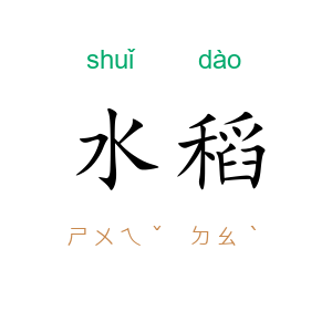 水稻