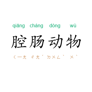 腔肠动物
