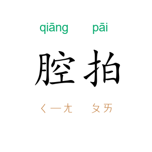 腔拍