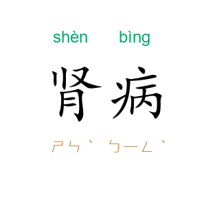 肾病
