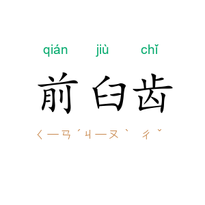 前臼齿