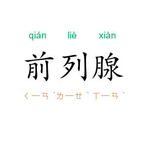 前列腺