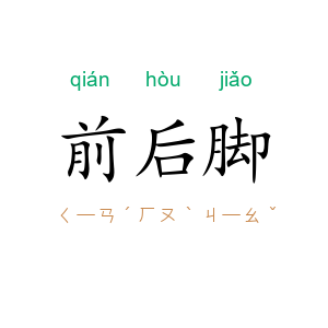 前后脚