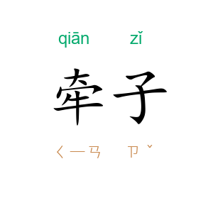 牵子