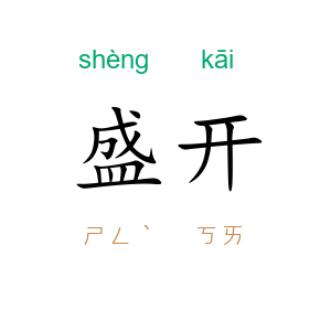盛开