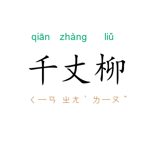 千丈柳