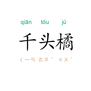 千头橘