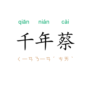 千年蔡