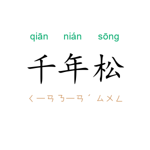 千年松