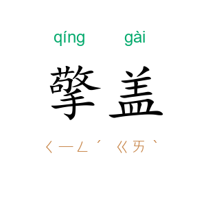 擎盖