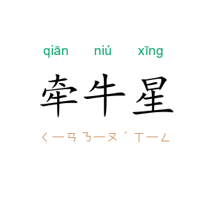牵牛星
