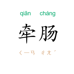 牵肠