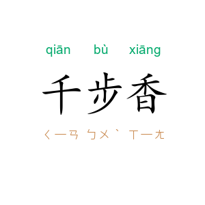 千步香