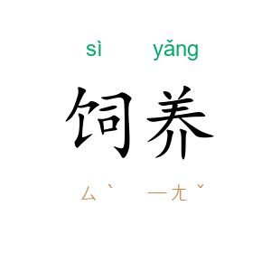 饲养